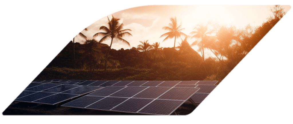 Paysage tropical dans un soleil couchant, des panneaux solaires au premier plan et des cocotiers au second plan